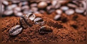 Café natural para el tratamiento de hongos