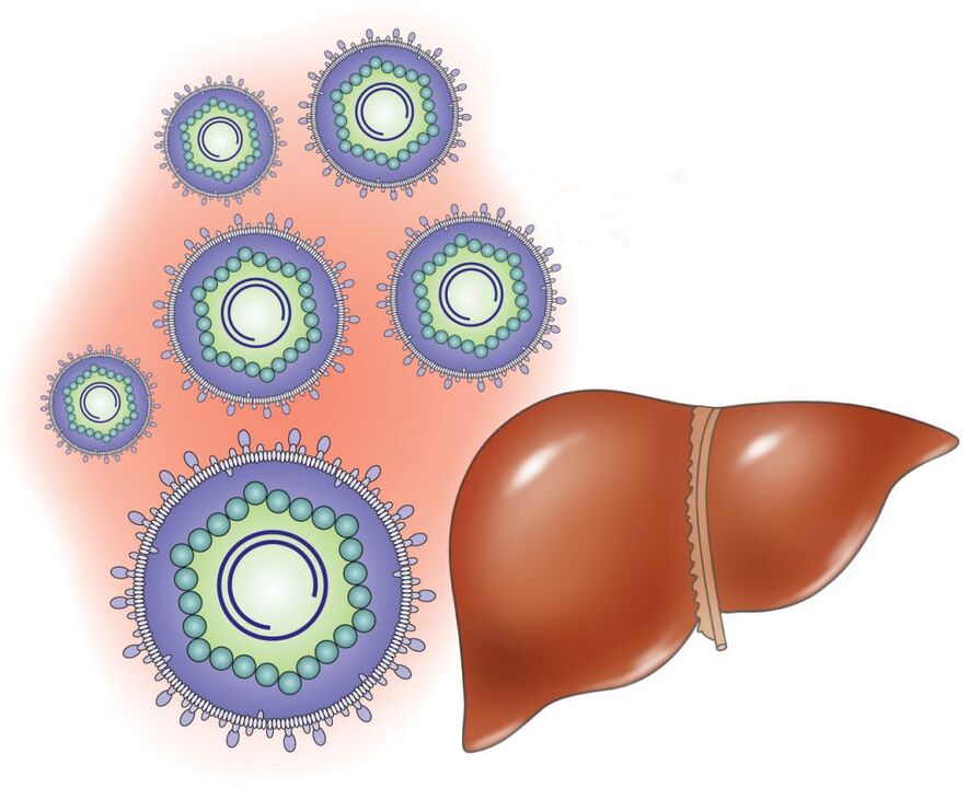 ¿Cómo funcionan internamente los medicamentos sistémicos